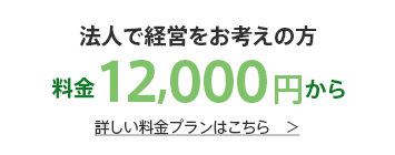 法人で経営をお考えの方へ 料金12,000円から